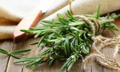 Sempre tenha alecrim por perto para melhorar a saúde óssea, metabolismo, e...
