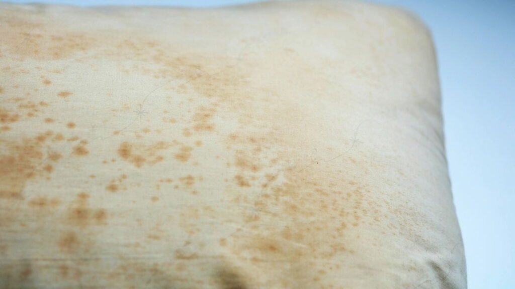 O que pode estar vivendo dentro das suas almofadas do sofá sem que você perceba