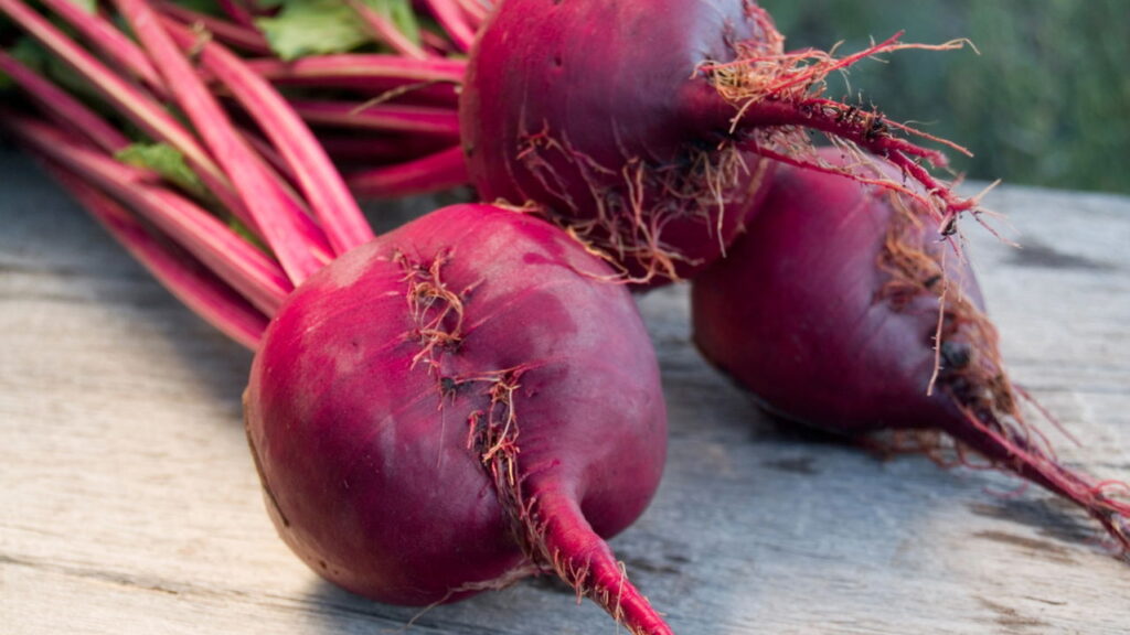 Aprenda a plantar beterraba em vasos
