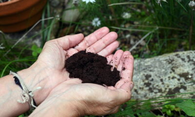 Já se perguntou o que fazer com a borra de café acumulada diariamente