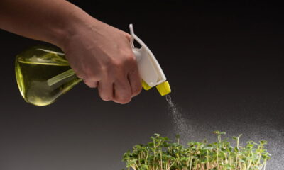 Utilizar água com sabão neutro na mangueira é uma estratégia prática e multifuncional para o cotidiano.