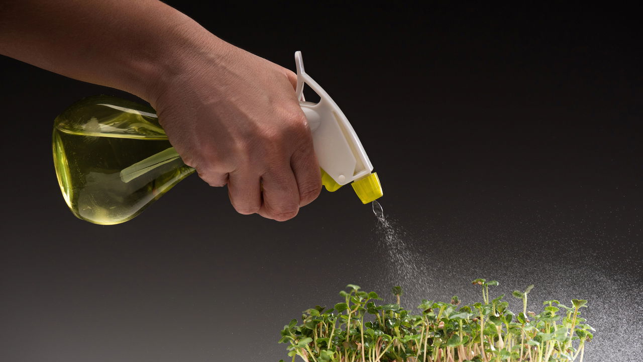 Utilizar água com sabão neutro na mangueira é uma estratégia prática e multifuncional para o cotidiano.