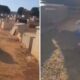 Advogado e jardineiro brigam por dívida em cemitério de Goiás