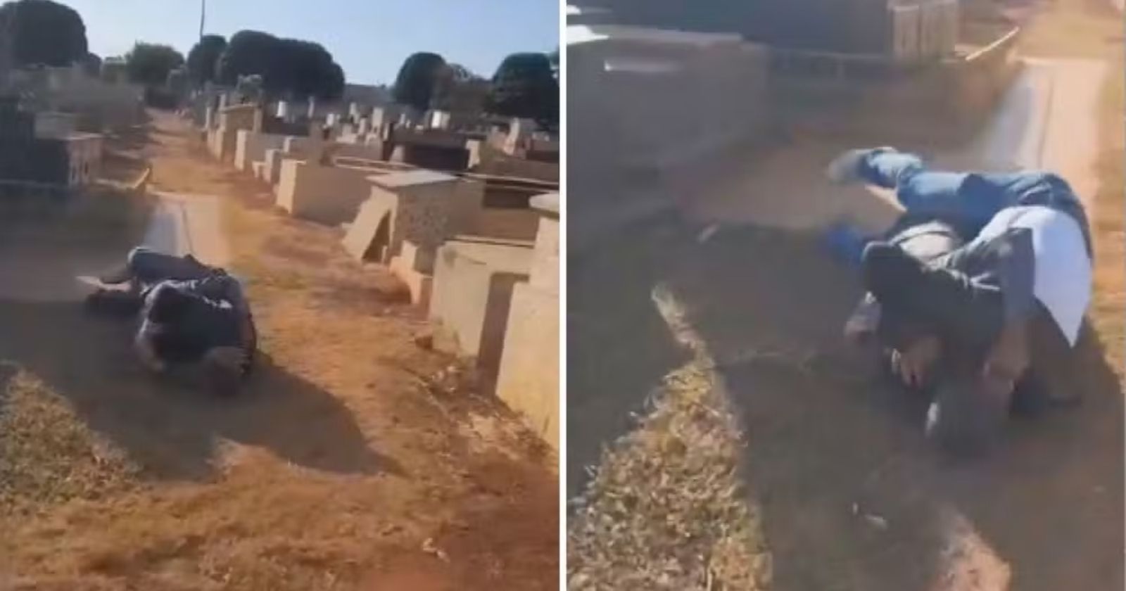 Advogado e jardineiro brigam por dívida em cemitério de Goiás