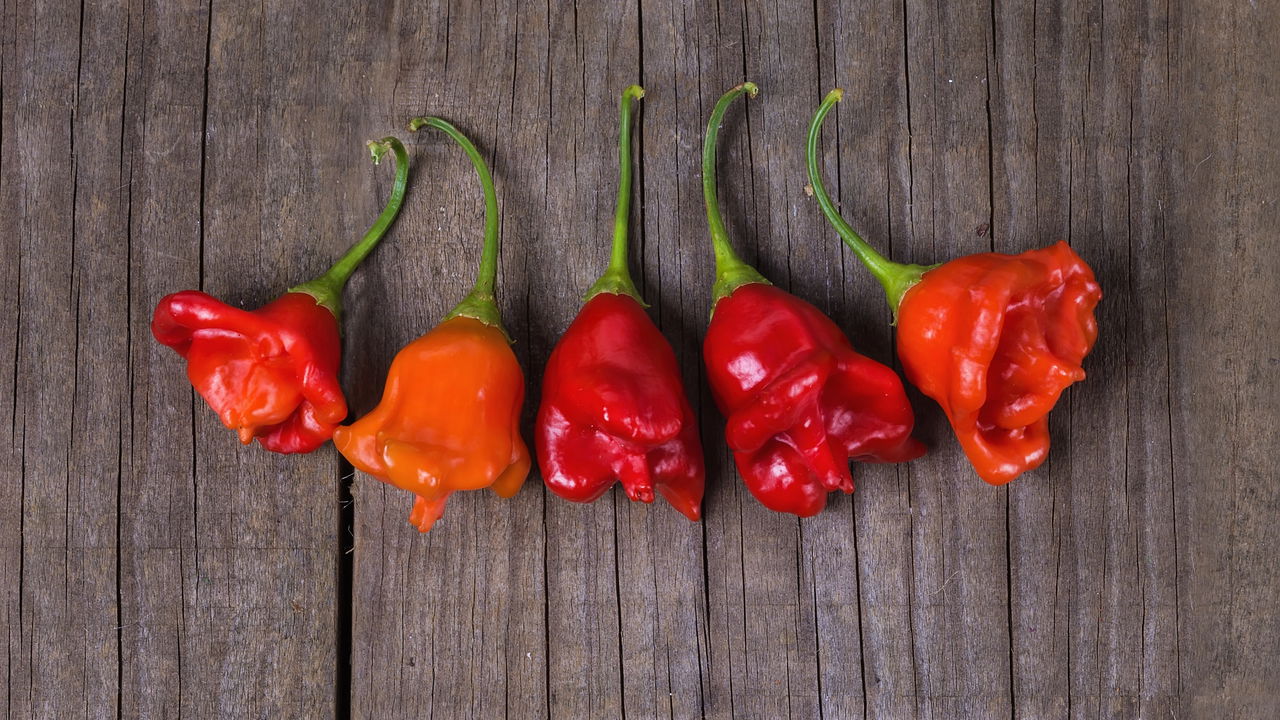 O cultivo de cambuci em casa está cada vez mais popular entre quem aprecia plantas frutíferas e busca um contato maior com a natureza
