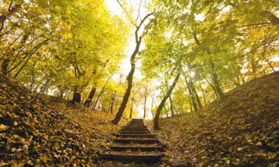 Os astros estão colocando três signos em destaque neste ciclo, trazendo oportunidades inesperadas que podem abrir novos caminhos e impulsionar transformações importantes.