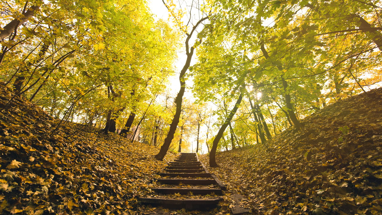 Os astros estão colocando três signos em destaque neste ciclo, trazendo oportunidades inesperadas que podem abrir novos caminhos e impulsionar transformações importantes.