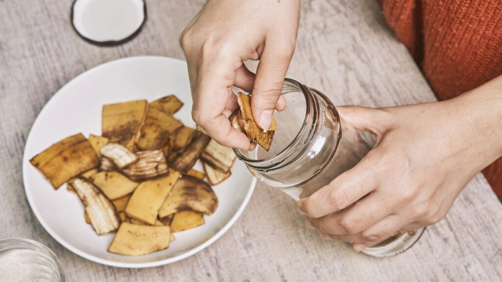 Esse truque simples faz sua planta crescer mais rápido
