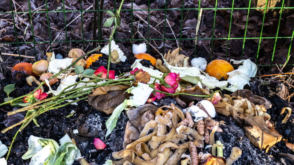 Transformar cascas de batata em adubo é uma alternativa sustentável e eficaz para reduzir o desperdício doméstico e melhorar a qualidade do solo de forma natural