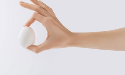 Transformar cascas de ovo em fertilizante natural é uma prática sustentável e altamente benéfica para o solo do seu jardim