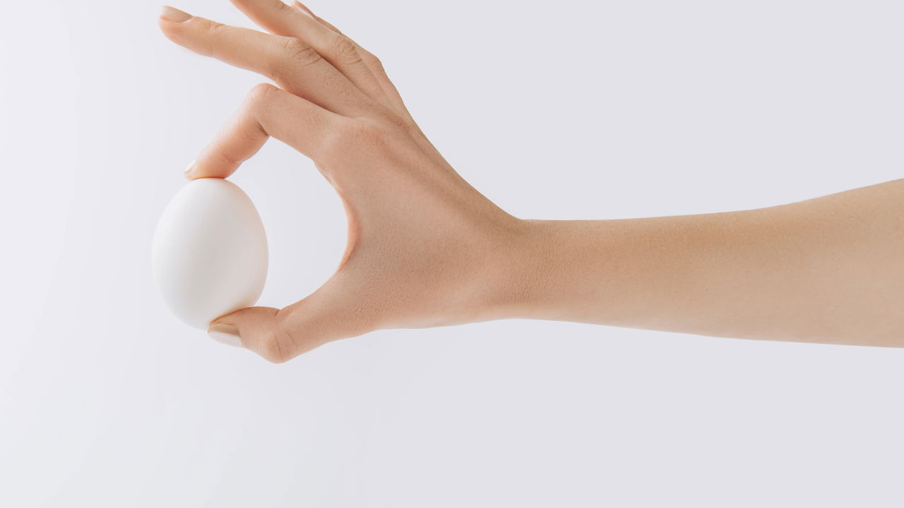 Transformar cascas de ovo em fertilizante natural é uma prática sustentável e altamente benéfica para o solo do seu jardim