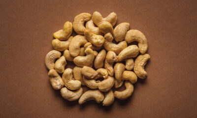 Cultivar castanha de caju em casa é uma atividade recompensadora e, com conhecimento adequado, é possível turbinar a produção e colher frutos de maneira mais eficiente