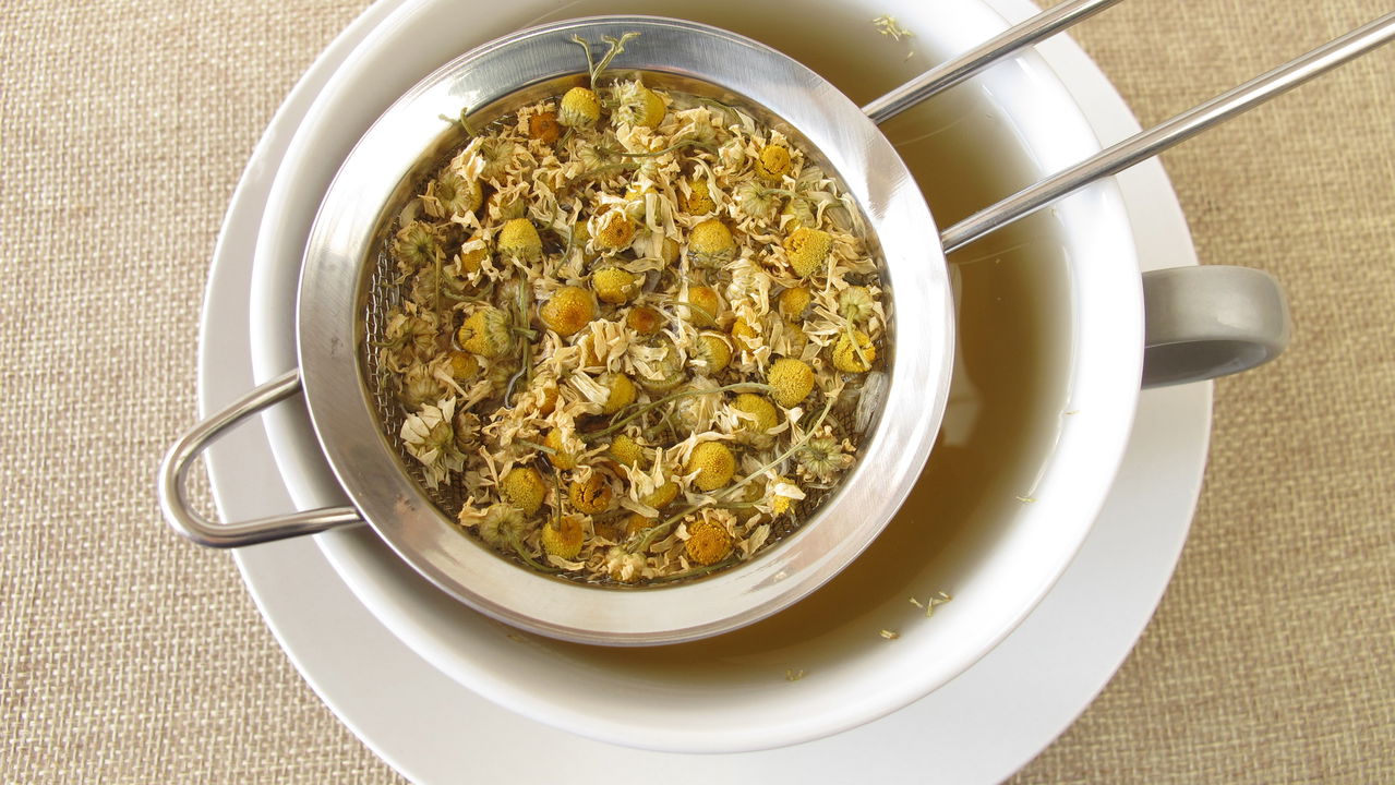 O chá de camomila é amplamente conhecido por suas propriedades calmantes, sendo utilizado para aliviar o estresse e promover o sono. Porém, seu uso vai além do consumo: na jardinagem, o chá vem sendo explorado como aliado no cultivo de mudas