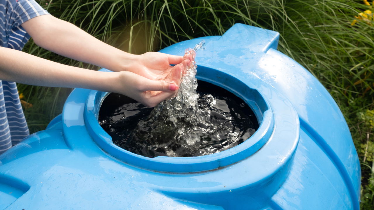 Regar plantas com água da chuva armazenada pode trazer inúmeros benefícios ao jardim. Aproveitar esse recurso natural não só melhora a saúde das plantas