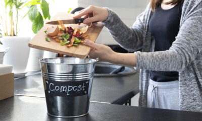 Transformar restos de alimentos em adubo orgânico é totalmente possível mesmo morando em espaços pequenos