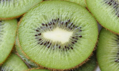 O cultivo de kiwi em casa pode ser uma atividade recompensadora para quem busca frutas frescas e saudáveis