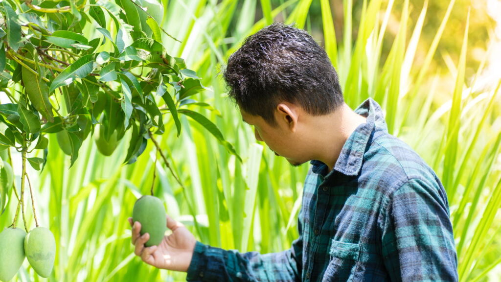 Utilizar água com sabão neutro na mangueira é uma estratégia prática e multifuncional para o cotidiano.