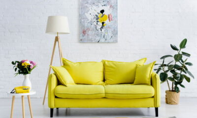 Plantas na decoração trazem beleza, bem-estar e frescor