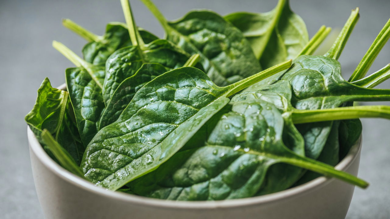 Aprenda a plantar espinafre em vasos facilmente