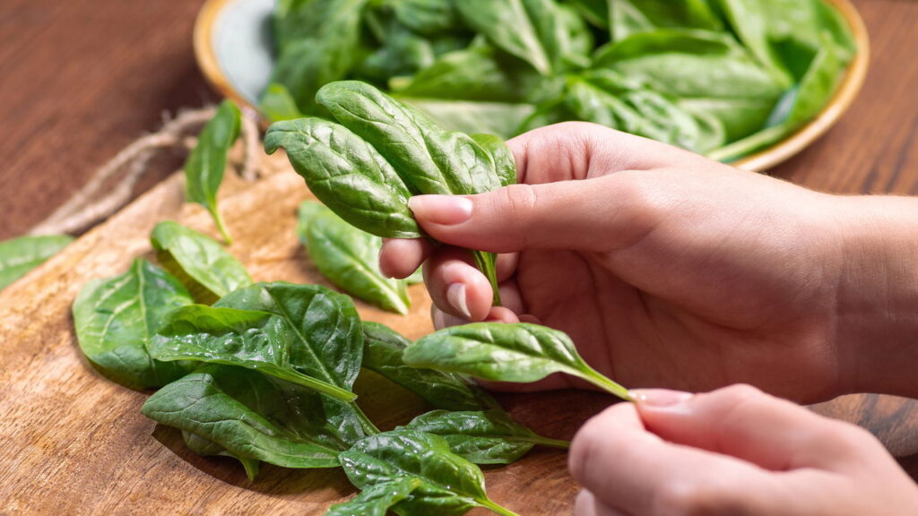 Aprenda a plantar espinafre em vasos facilmente
