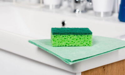 A transformação da esponja da pia é uma preocupação constante em lares brasileiros.