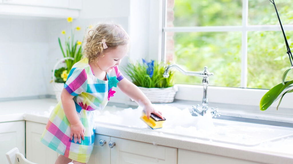 A transformação da esponja da pia é uma preocupação constante em lares brasileiros.