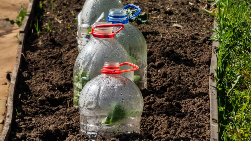 Transformar uma garrafa PET em uma miniestufa é uma solução prática, sustentável e criativa para cultivar hortaliças mesmo em ambientes com espaço limitado