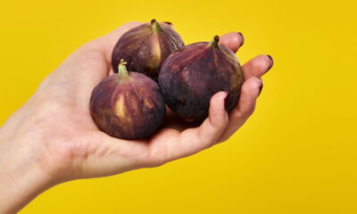 O figo, embora frequentemente classificado como fruta, surpreende ao esconder segredos fascinantes em sua natureza botânica