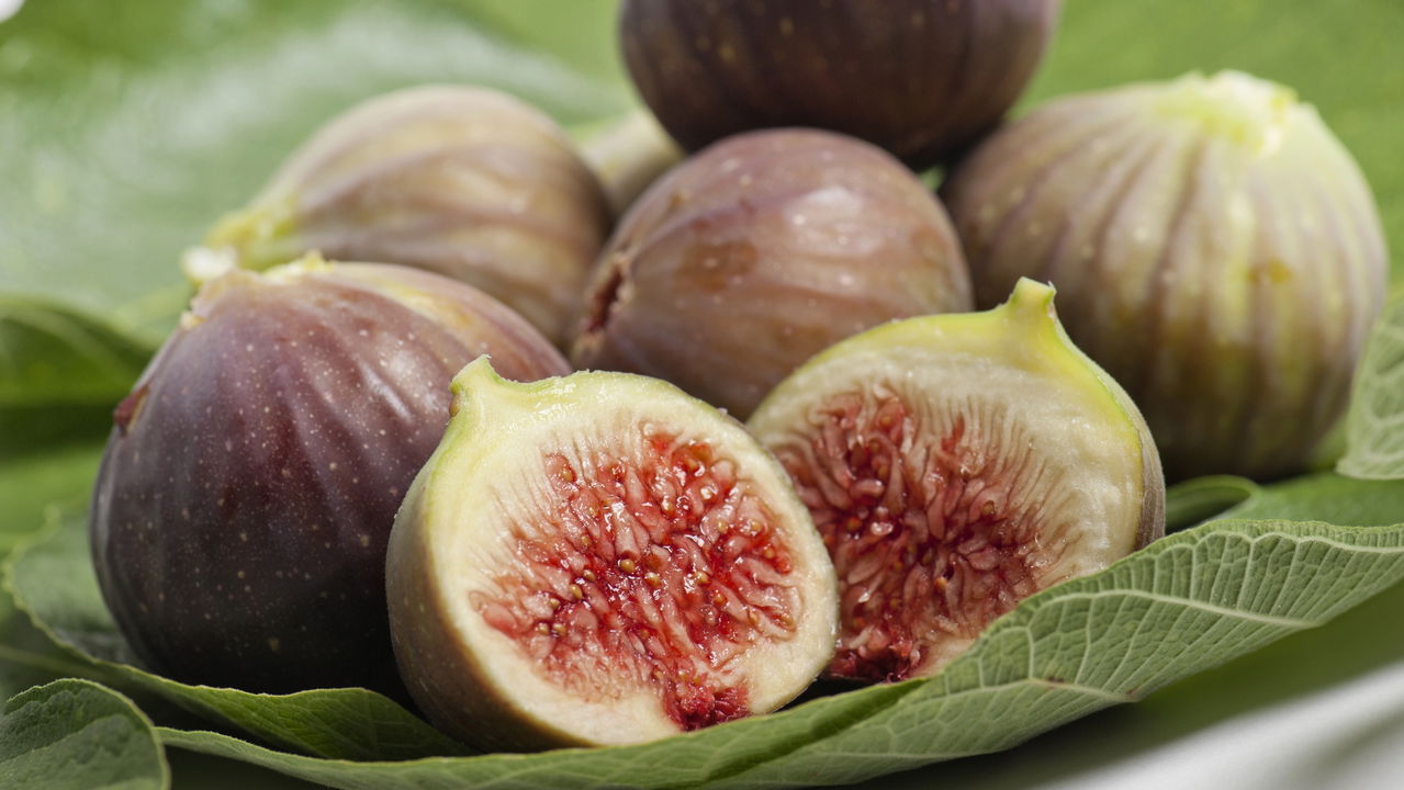 Cultivar figo em vaso é uma excelente alternativa para quem deseja desfrutar de frutas frescas em espaços limitados