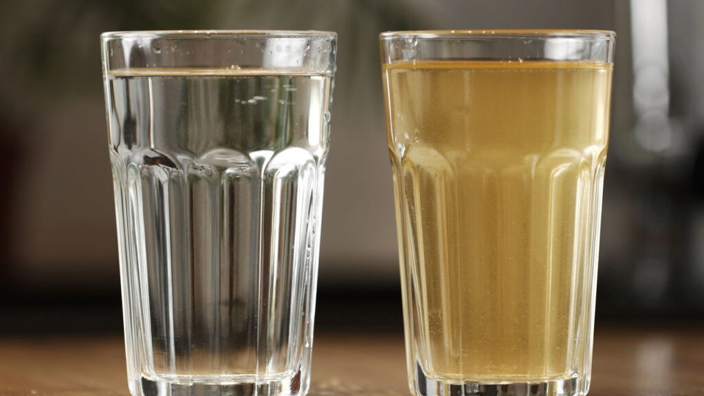 Descuidar da troca do filtro de água pode causar múltiplos problemas, ameaçando tanto a saúde quanto a qualidade da água no seu lar