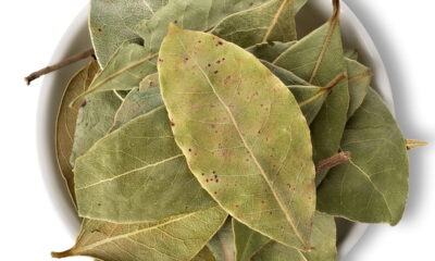 A filosofia milenar do Feng Shui busca harmonizar os ambientes onde vivemos, equilibrando a circulação de energia e promovendo o bem-estar