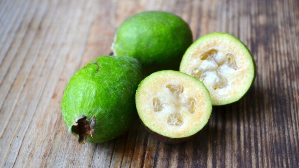 Cultivar feijoa em casa pode ser uma aventura recompensadora, oferecendo frutas frescas e ricas em nutrientes diretamente do seu quintal