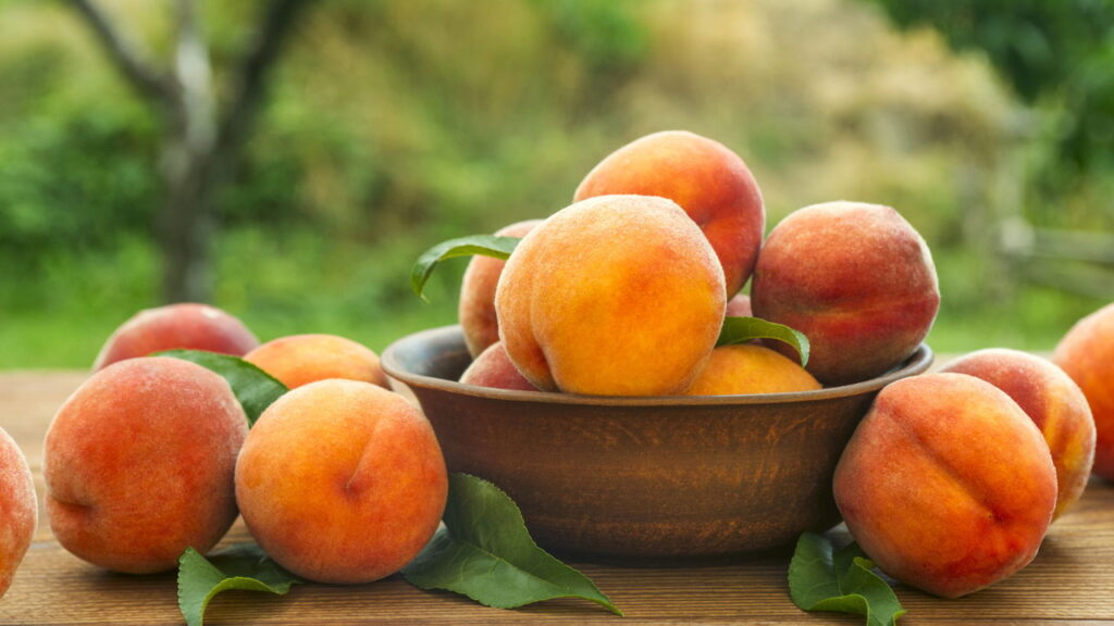 Aprender a cultivar pêssego em casa pode ser uma experiência extremamente gratificante