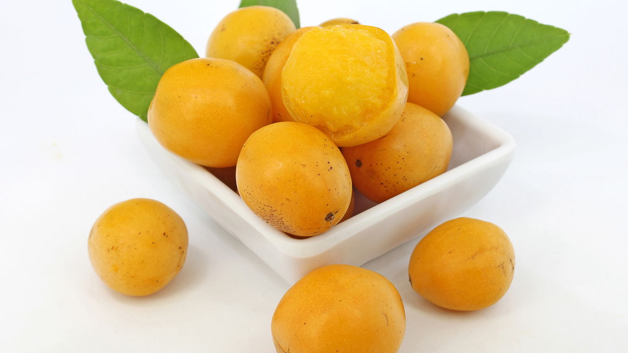 Aprender como cultivar umbu em casa é uma prática que pode promover uma alimentação saudável, além de contribuir para a sustentabilidade local