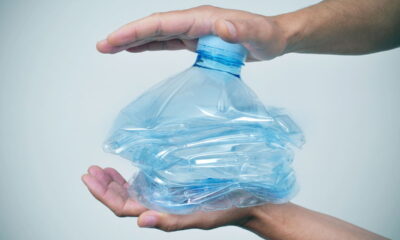 Transformar uma garrafa PET em uma miniestufa é uma solução prática, sustentável e criativa para cultivar hortaliças mesmo em ambientes com espaço limitado