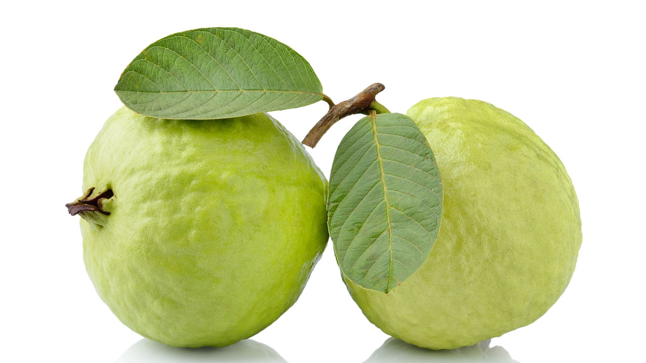 Conseguir que sua goiabeira produza frutos maiores, saudáveis e de forma natural é totalmente viável se você adota práticas de manejo apropriadas