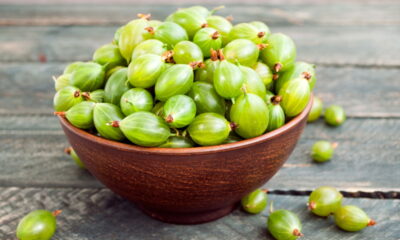 Se você sempre quis saber como cultivar groselha em casa e ter colheitas mais rápidas, este artigo é para você