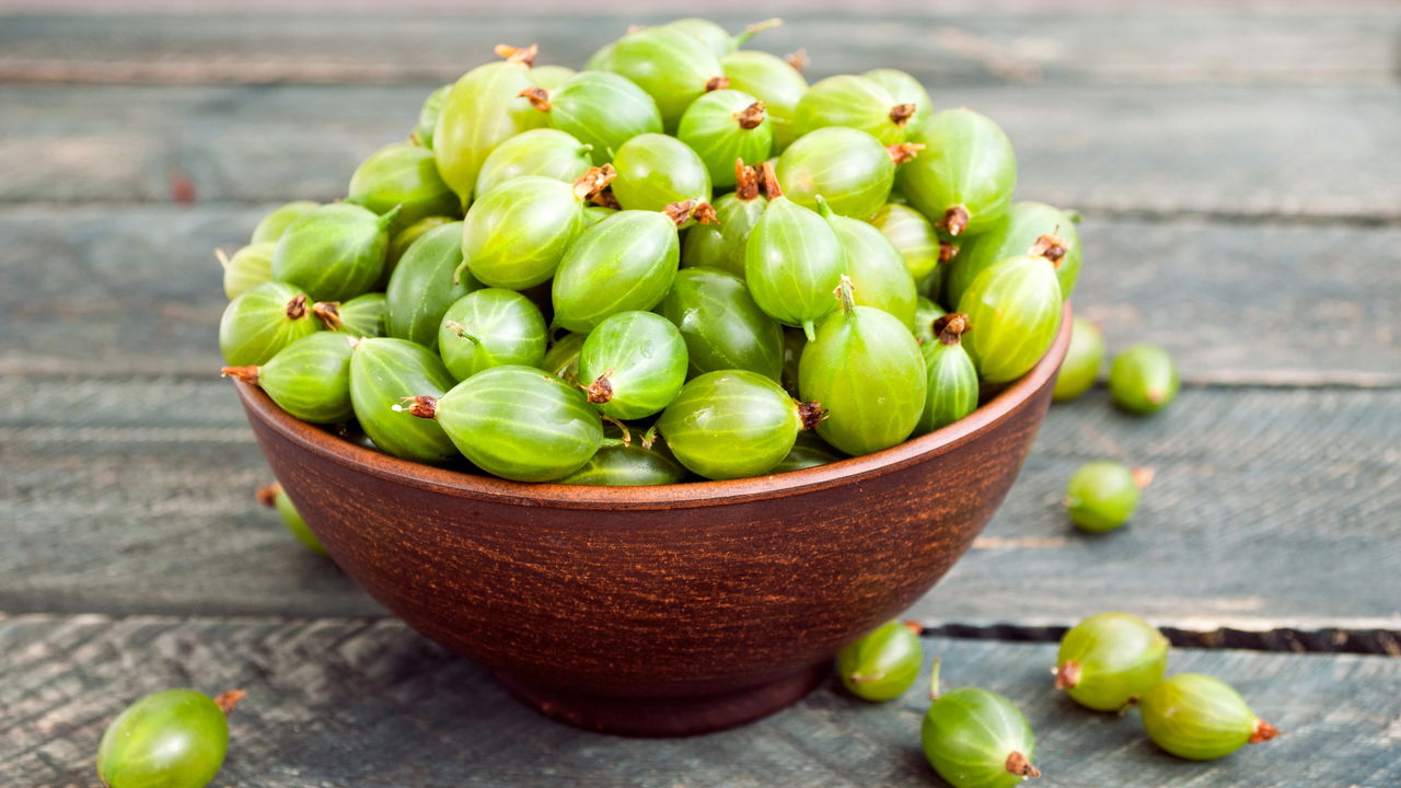 Se você sempre quis saber como cultivar groselha em casa e ter colheitas mais rápidas, este artigo é para você