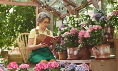 O imaginário estético japonês envolve a sacralização da vida cotidiana, destacando a beleza em atividades simples como a jardinagem