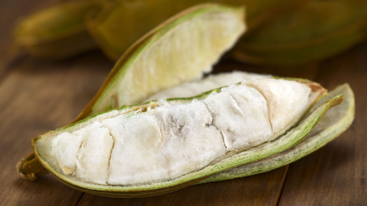 Quer aprender a cultivar ingá em casa e obter colheitas mais rápidas