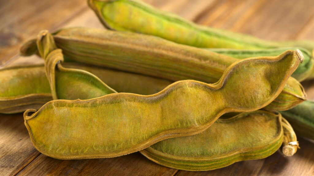 Quer aprender a cultivar ingá em casa e obter colheitas mais rápidas