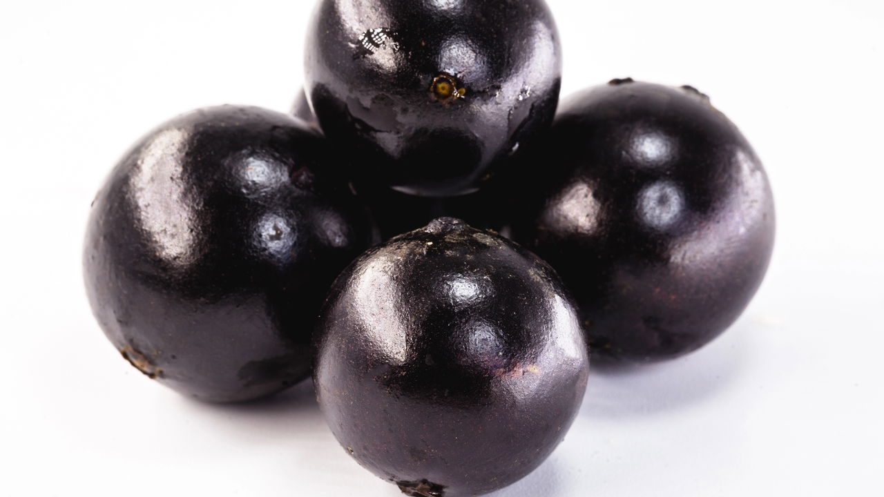 O cultivo da jabuticabeira híbrida em casa pode ser uma experiência recompensadora, especialmente para quem deseja colher frutos mais rapidamente