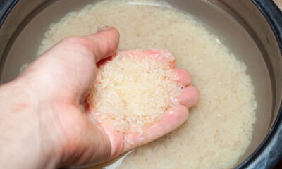 O uso de água de arroz tem ganhado popularidade como uma técnica alternativa para a irrigação de plantas