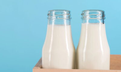 Manter o leite aberto na porta da geladeira é uma prática comum, mas pode ser prejudicial à conservação do alimento