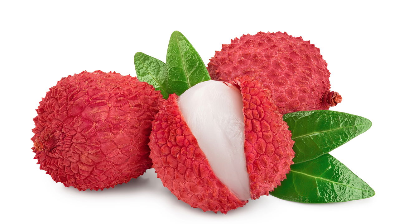 Plantar lichia em vaso é uma excelente alternativa para quem valoriza frutas frescas mesmo com pouco espaço