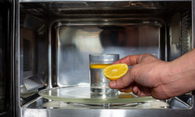 Já se perguntou o que acontece quando você coloca um limão dentro do micro-ondas