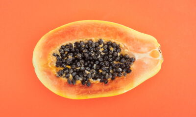 Plantar mamão em casa é uma excelente forma de aproveitar ao máximo as sementes da fruta e garantir frutas frescas no dia a dia.