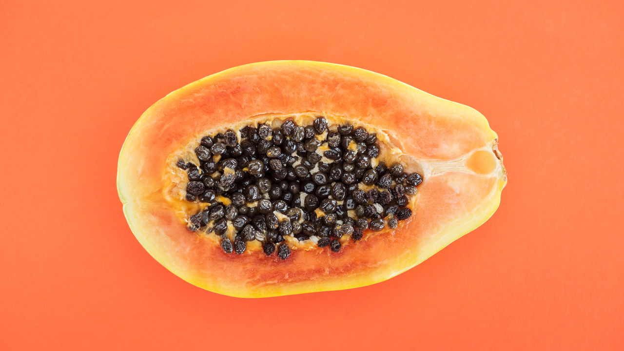 Plantar mamão em casa é uma excelente forma de aproveitar ao máximo as sementes da fruta e garantir frutas frescas no dia a dia.