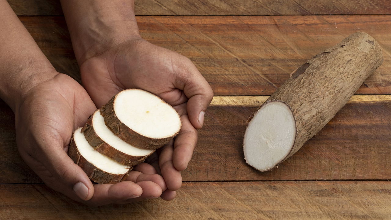 A mandioca, também conhecida como aipim ou macaxeira, destaca-se por seu papel fundamental na culinária e na cultura brasileira