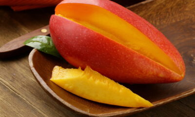 Como se chama a árvore da manga? Ela vive mais de 100 anos e alimenta famílias inteiras